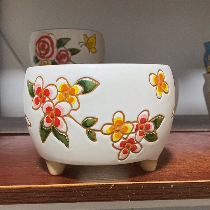 韩式多肉植物花盆