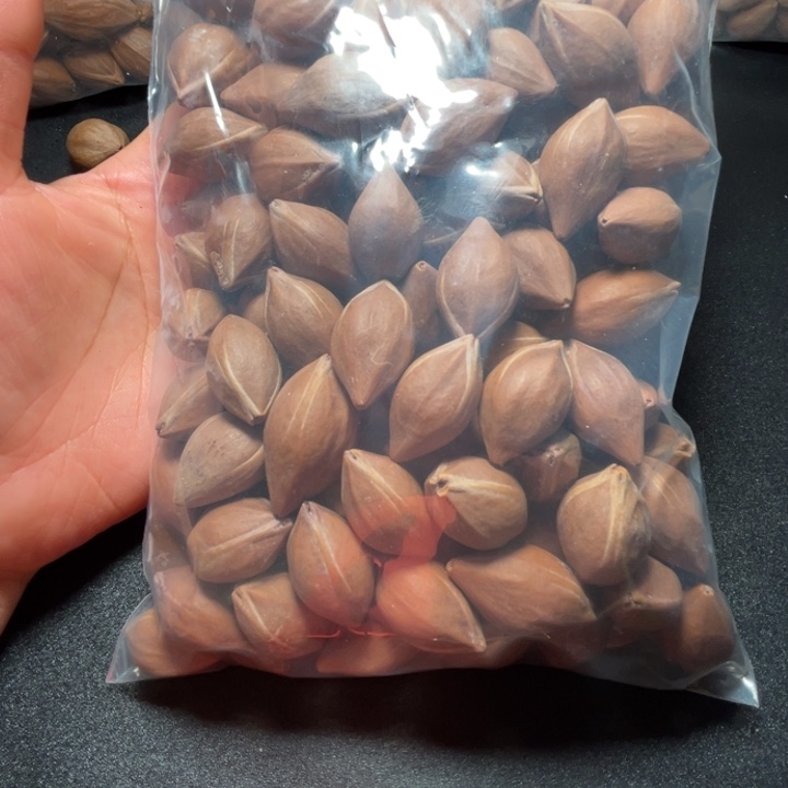 手串/手链猪牙我是