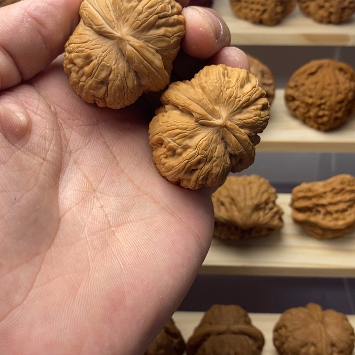 把件核桃@**生元宝