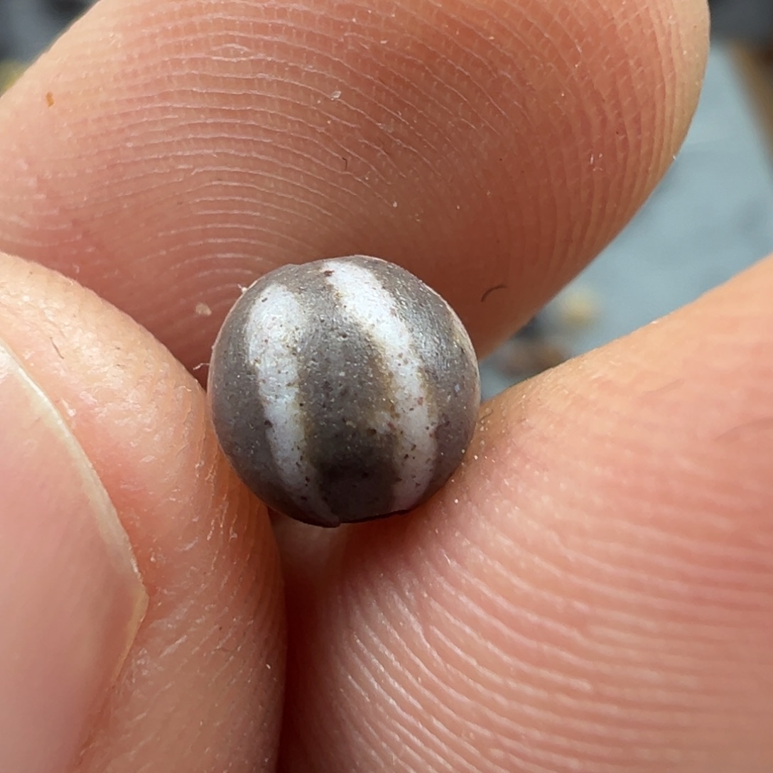 泥塑x64   6.2矿瓜