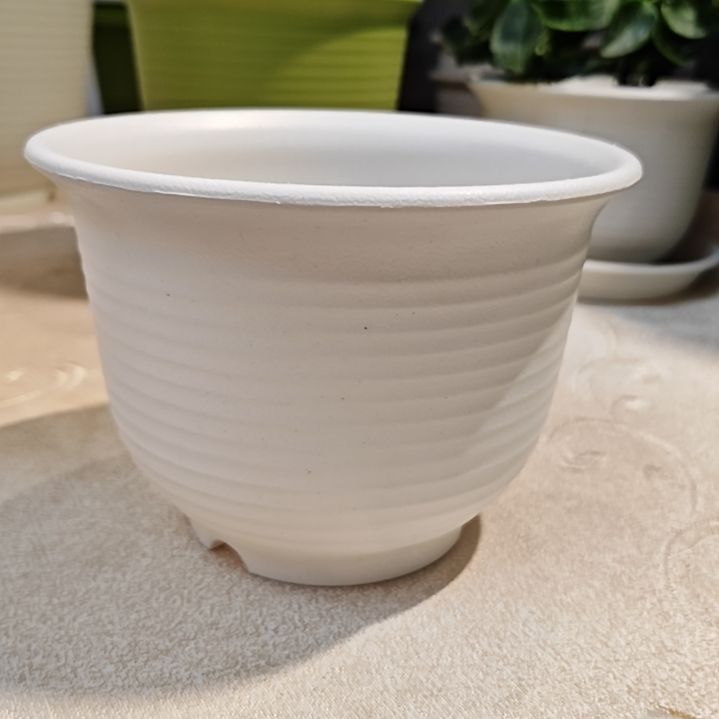 树脂仿陶15口11高，白色带托五个