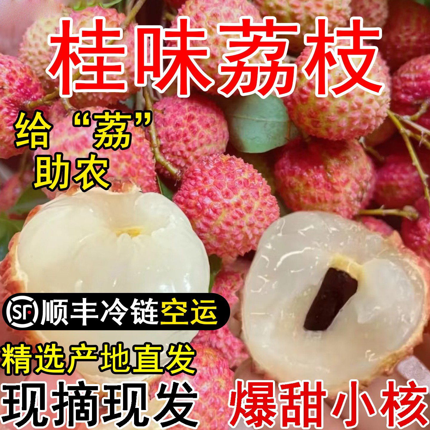 【仅限广东省内下单】广州从化桂味荔枝果园现摘新鲜水果直发