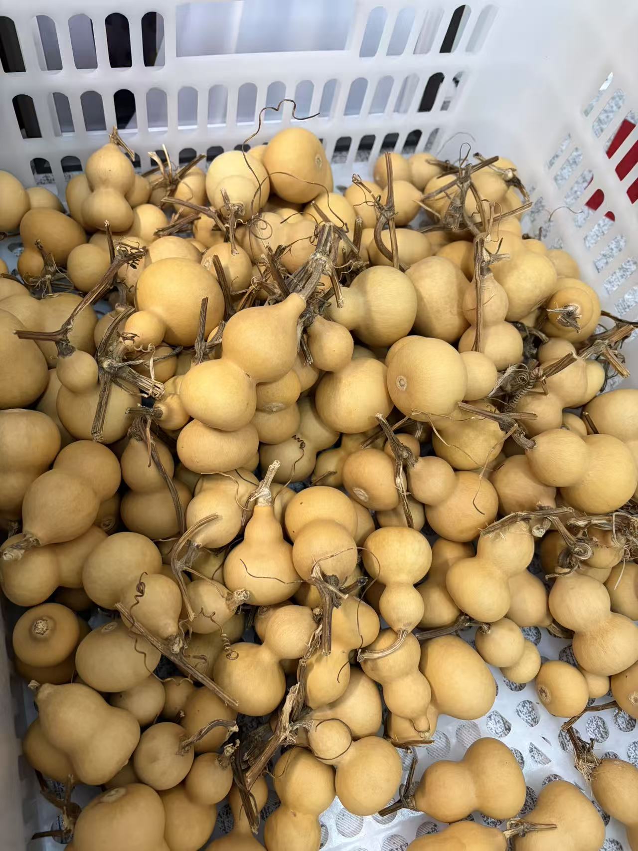 天然小美手把小葫芦可盘玩带龙头福禄文玩葫芦