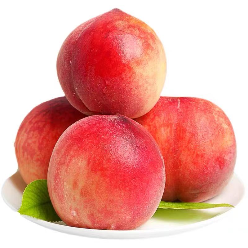 头茬新鲜蜜桃新鲜采摘脆甜爽口应季水果好看好吃毛桃