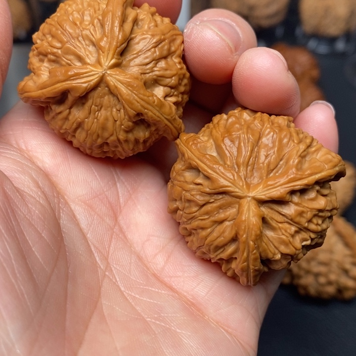 文玩核桃吊坠白本