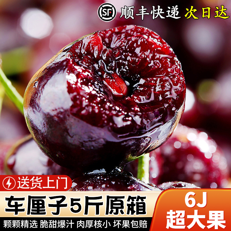6JD超大果王车厘子桑提娜智利进口大樱桃顺丰礼盒海运内附果径卡