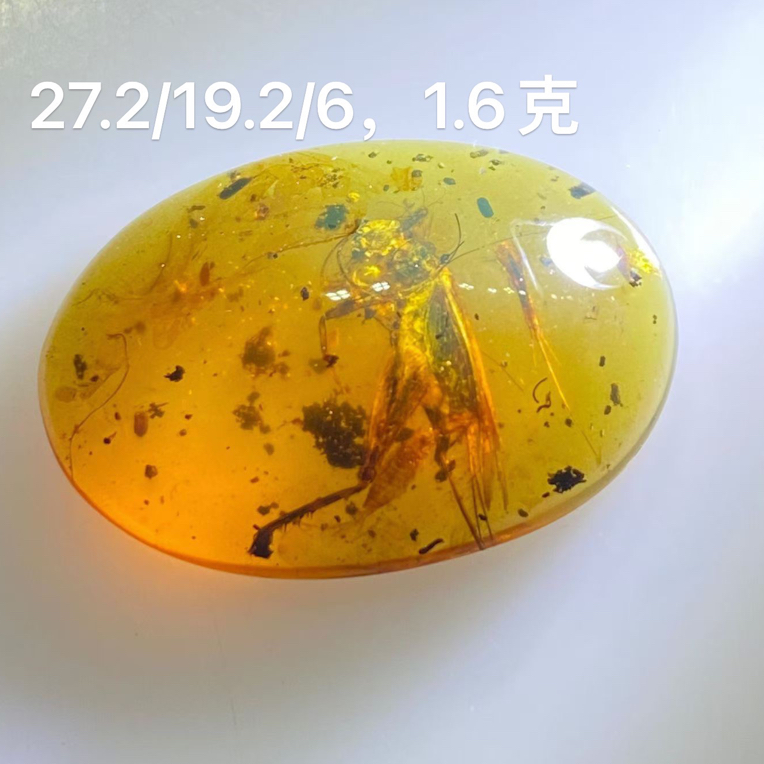 大蟋蟀，肉质感不错，内容丰富，可收藏镶嵌佩戴，27.2/19.2/6，1.6克