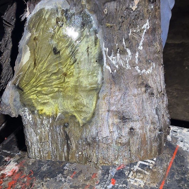 天***5金丝楠啊啊啊啊啊