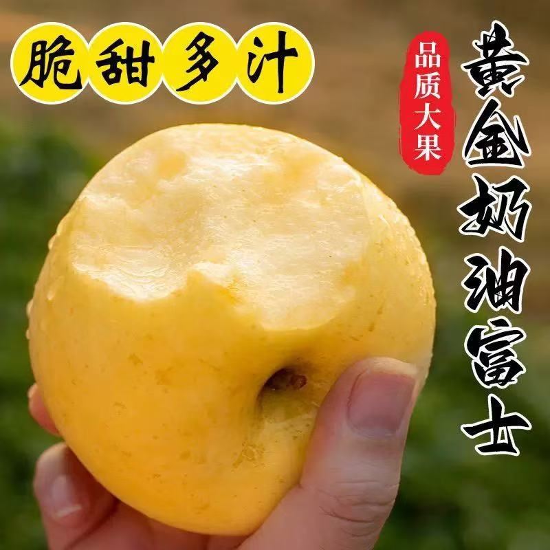 正宗烟台奶油富士苹果脆甜多汁新鲜水果