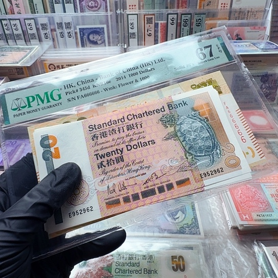 纸长棍神龟二十的单张哈哈哈哈