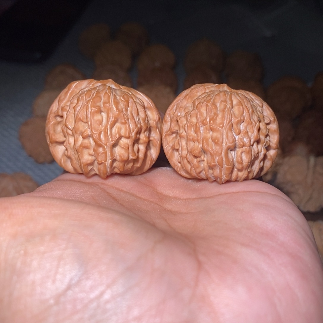 啊***伍桃核吊坠39尺山地磨