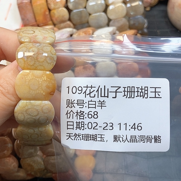 硅化珊瑚（珊瑚玉）手镯未镶嵌白*109