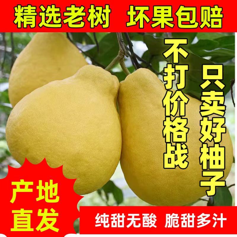 【丹姐专属】正宗重庆长寿邻封老树沙田柚新鲜应季水果纯甜无酸产地