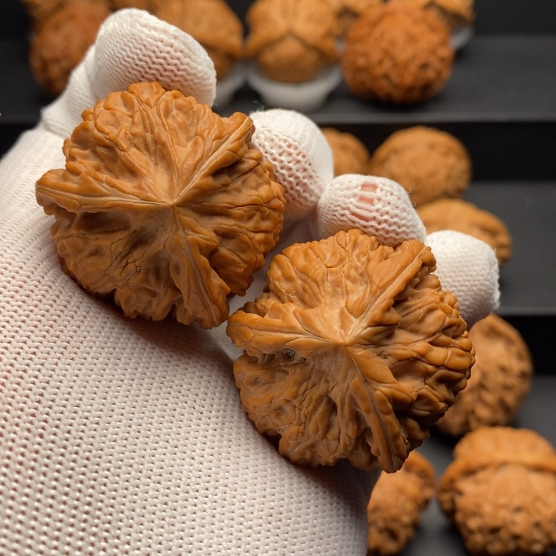 文玩核桃把件洋***王39尺全品御龙粗筋球奔