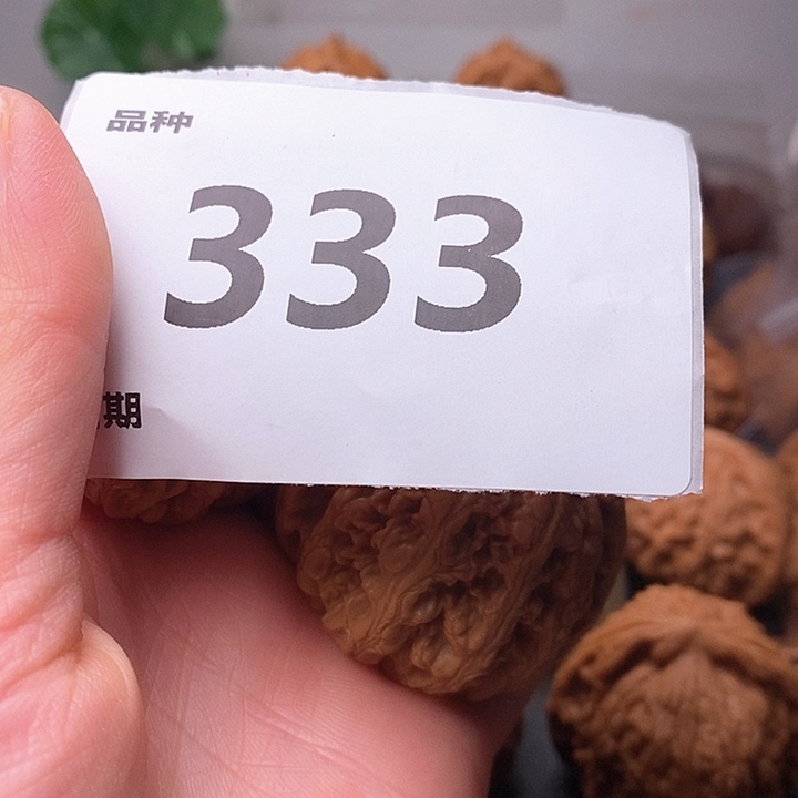 文玩核桃吊坠1*3粗筋333