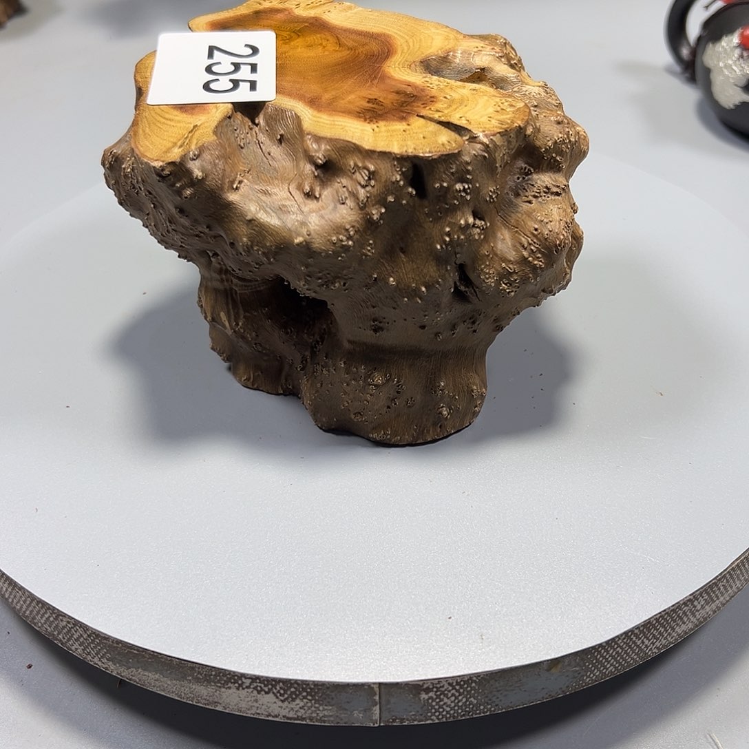 大果紫檀（缅甸花梨）风*