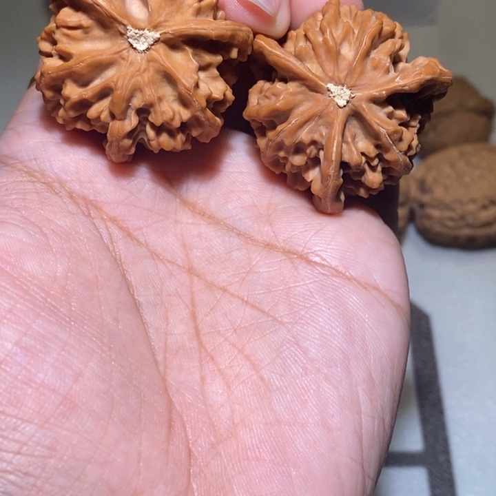 ****了核桃手串/手链三棱