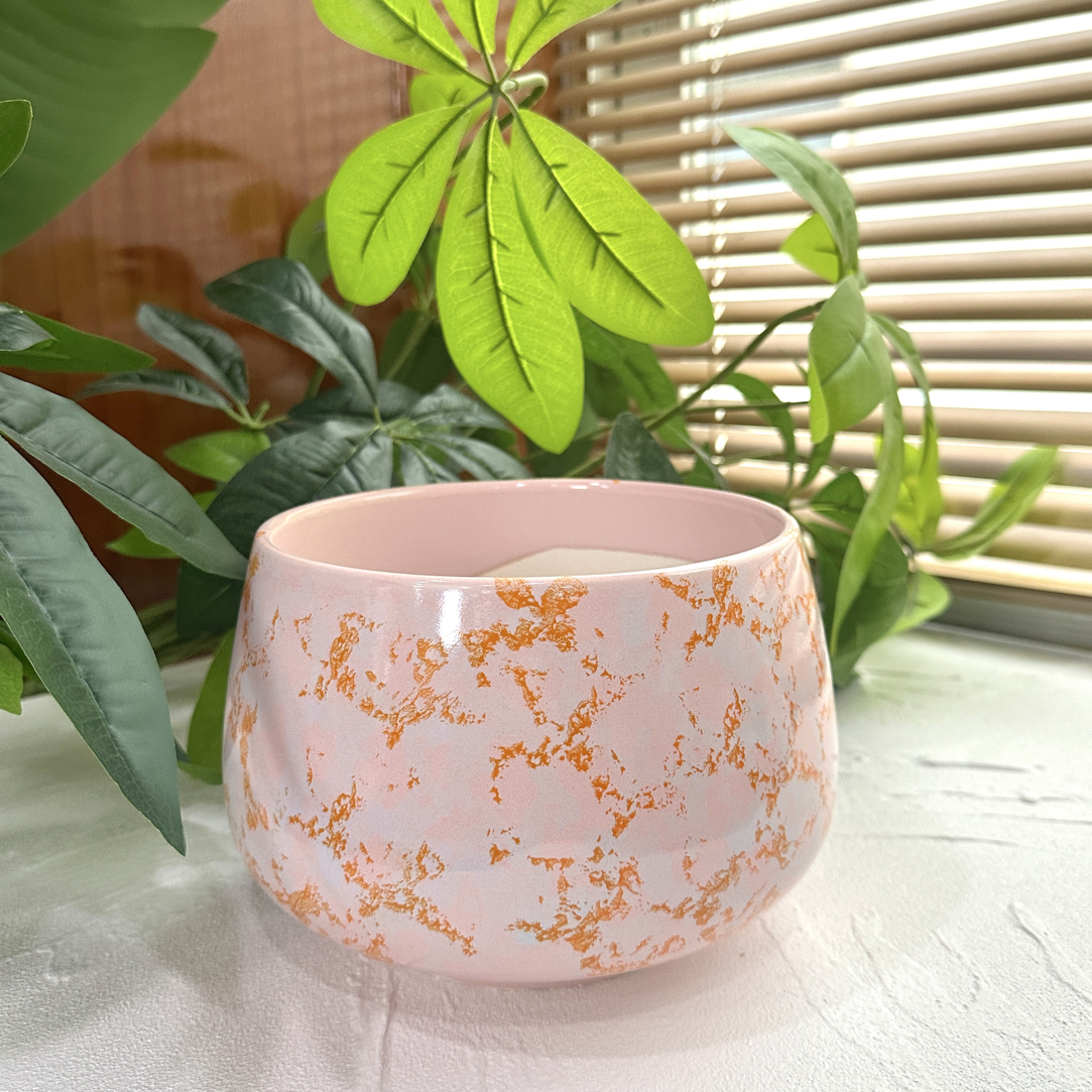 C146高14口17简约北欧风透气小花盆适合多肉蝴蝶兰室内外绿植