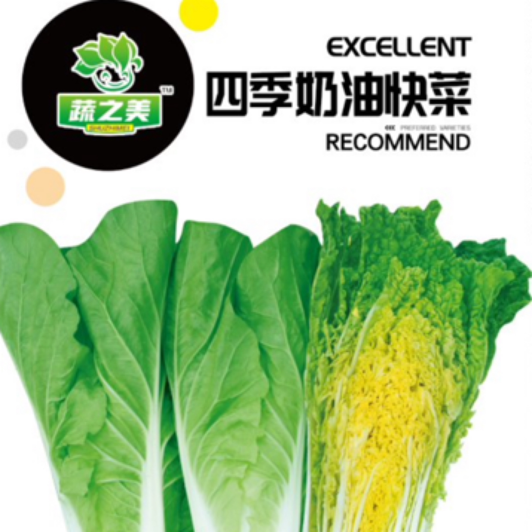 四季奶油种子 四季春季秋季油菜白菜种子蔬菜种子【原厂包装】