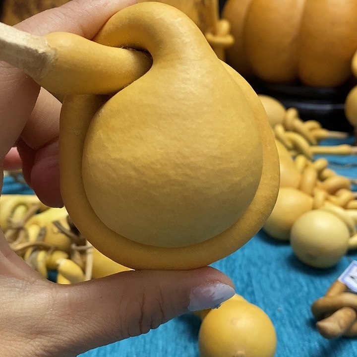 陆***昂一把葫芦便宜漏了