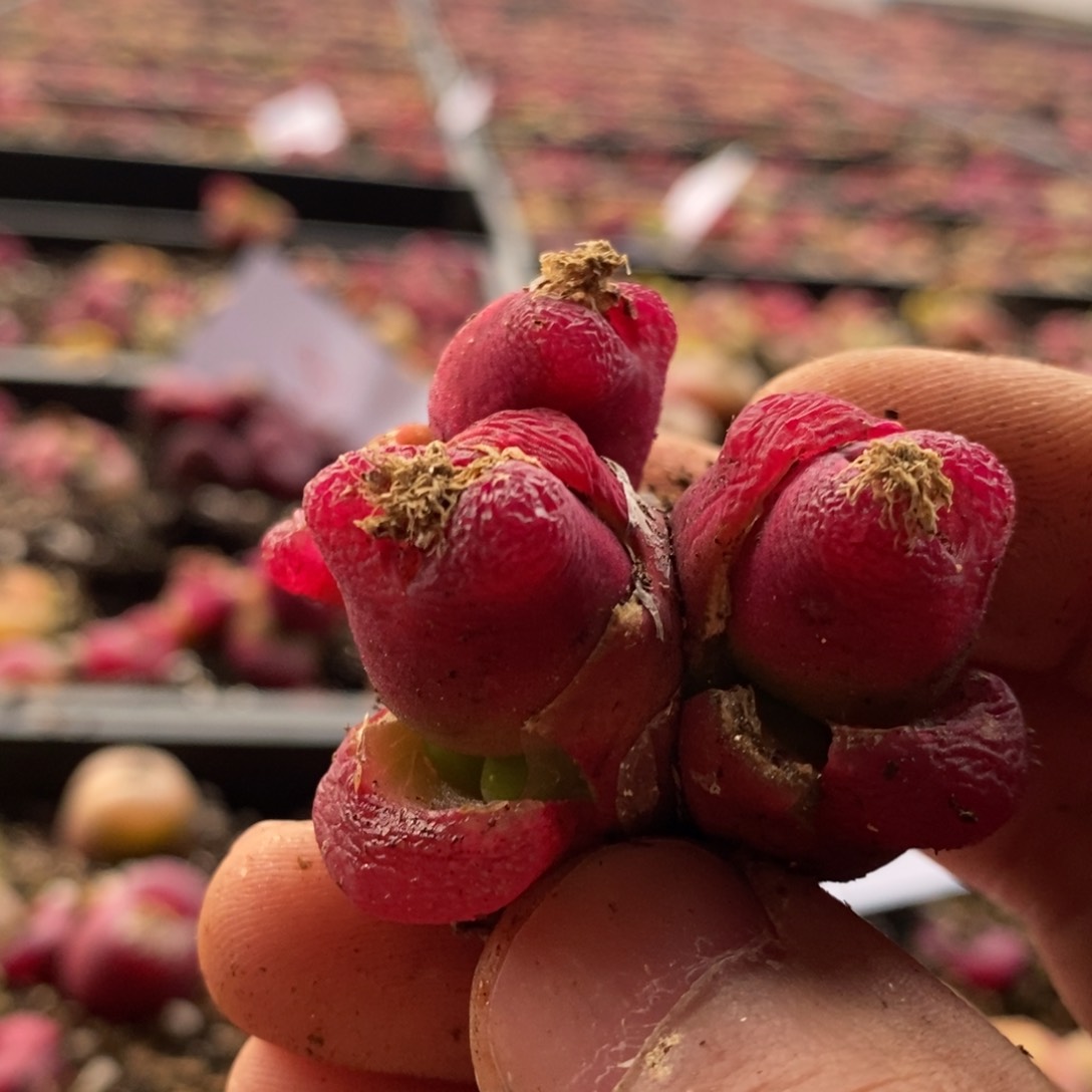 14129一个一个一个