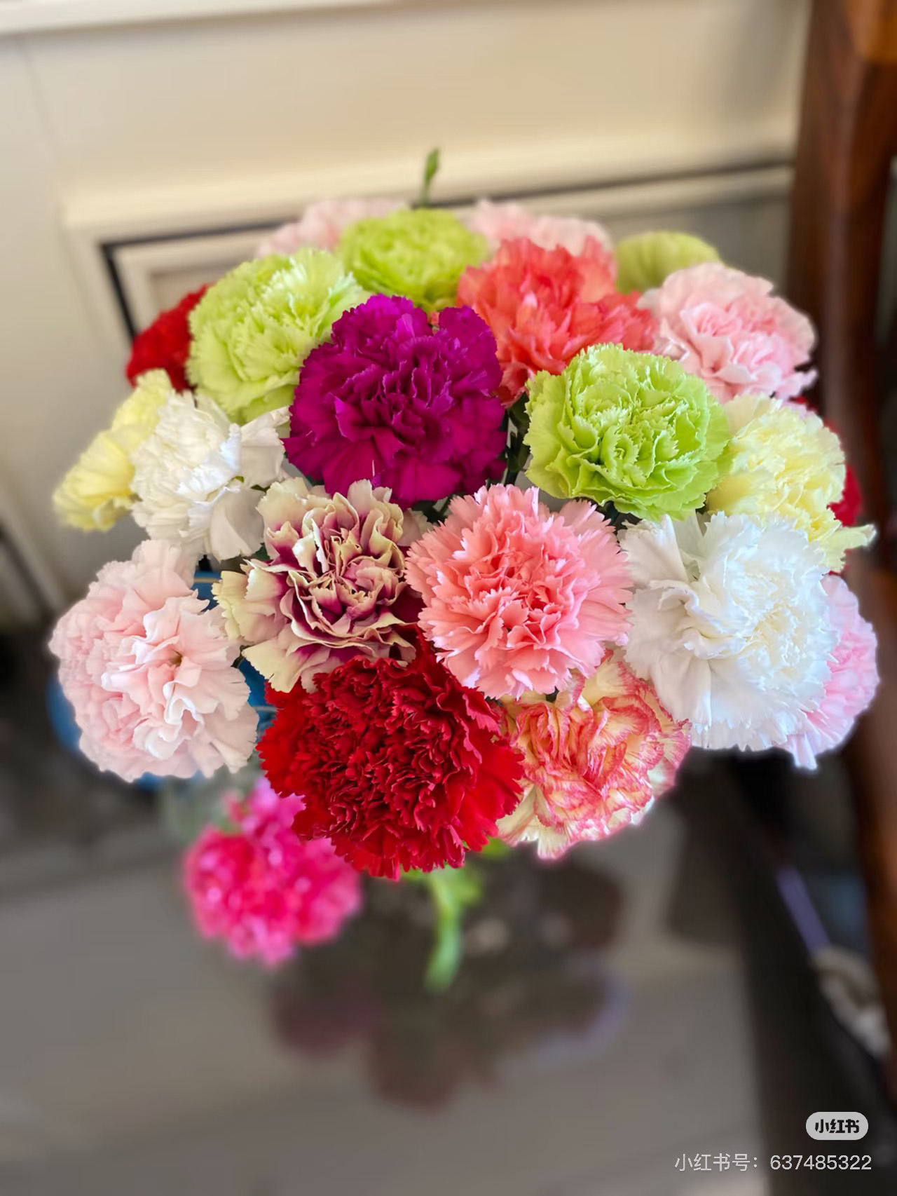 康乃馨鲜花直播2单包邮