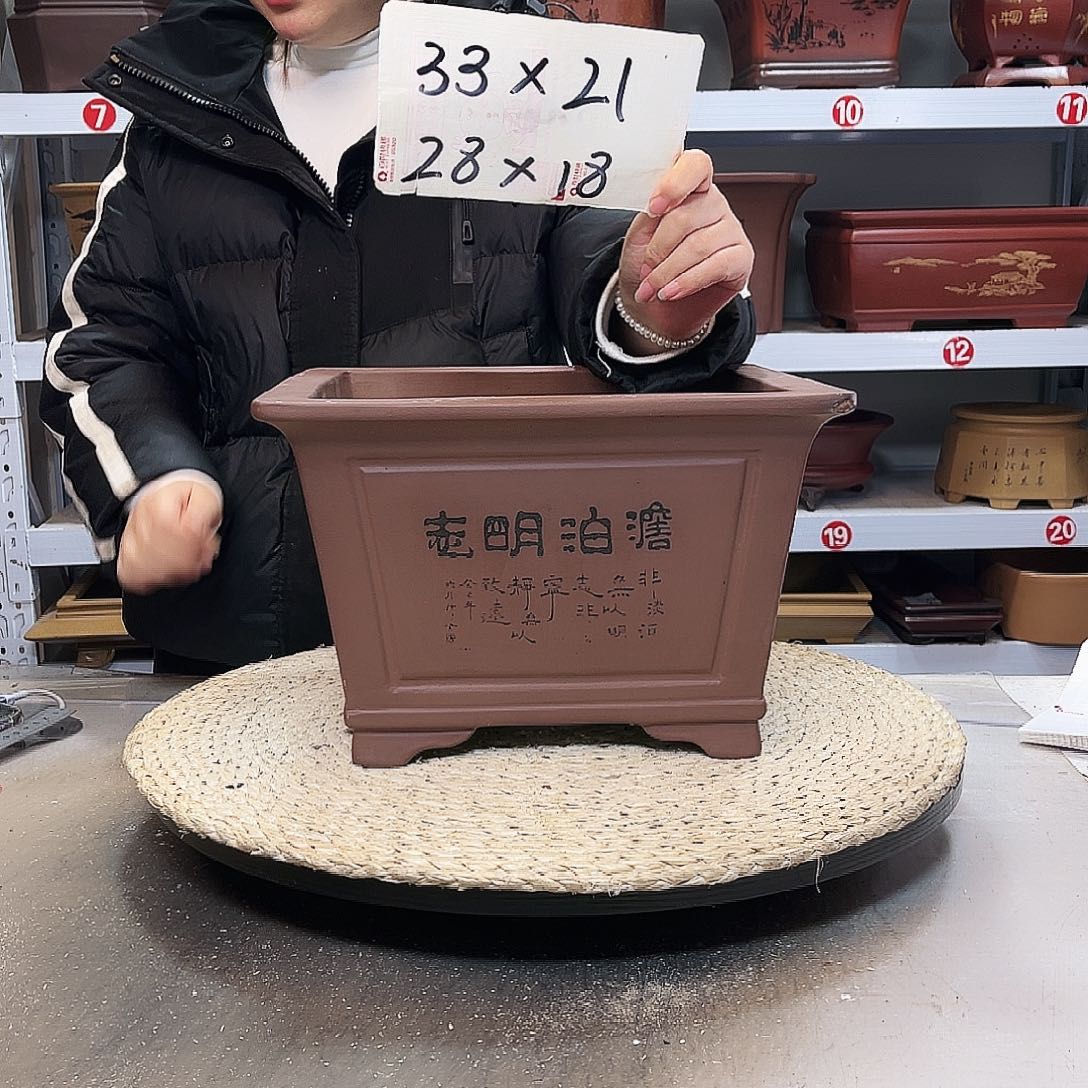 紫砂花盆紫砂花盆里