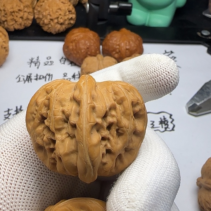 草***花元宝的父亲是个女