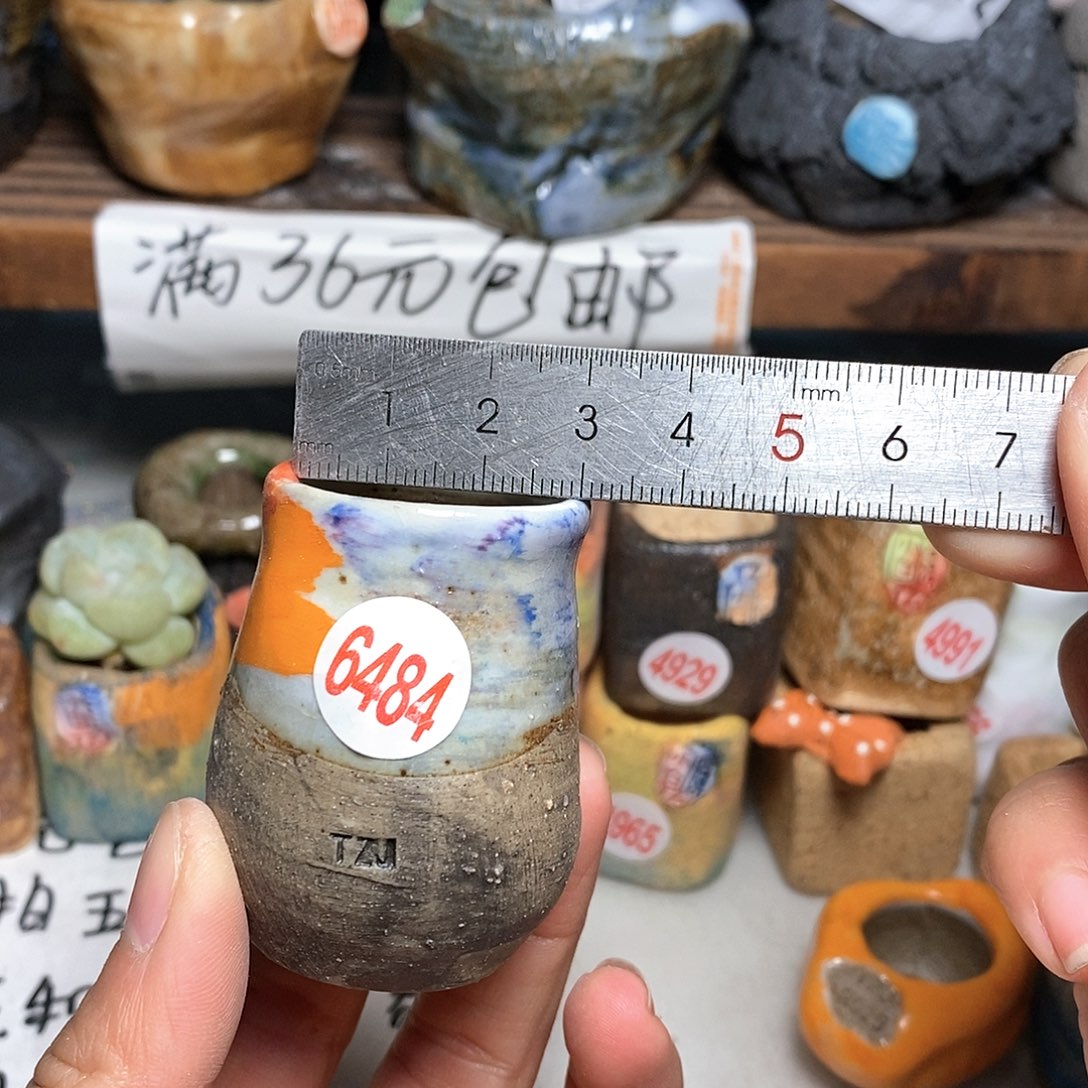 红陶拍5送一个小