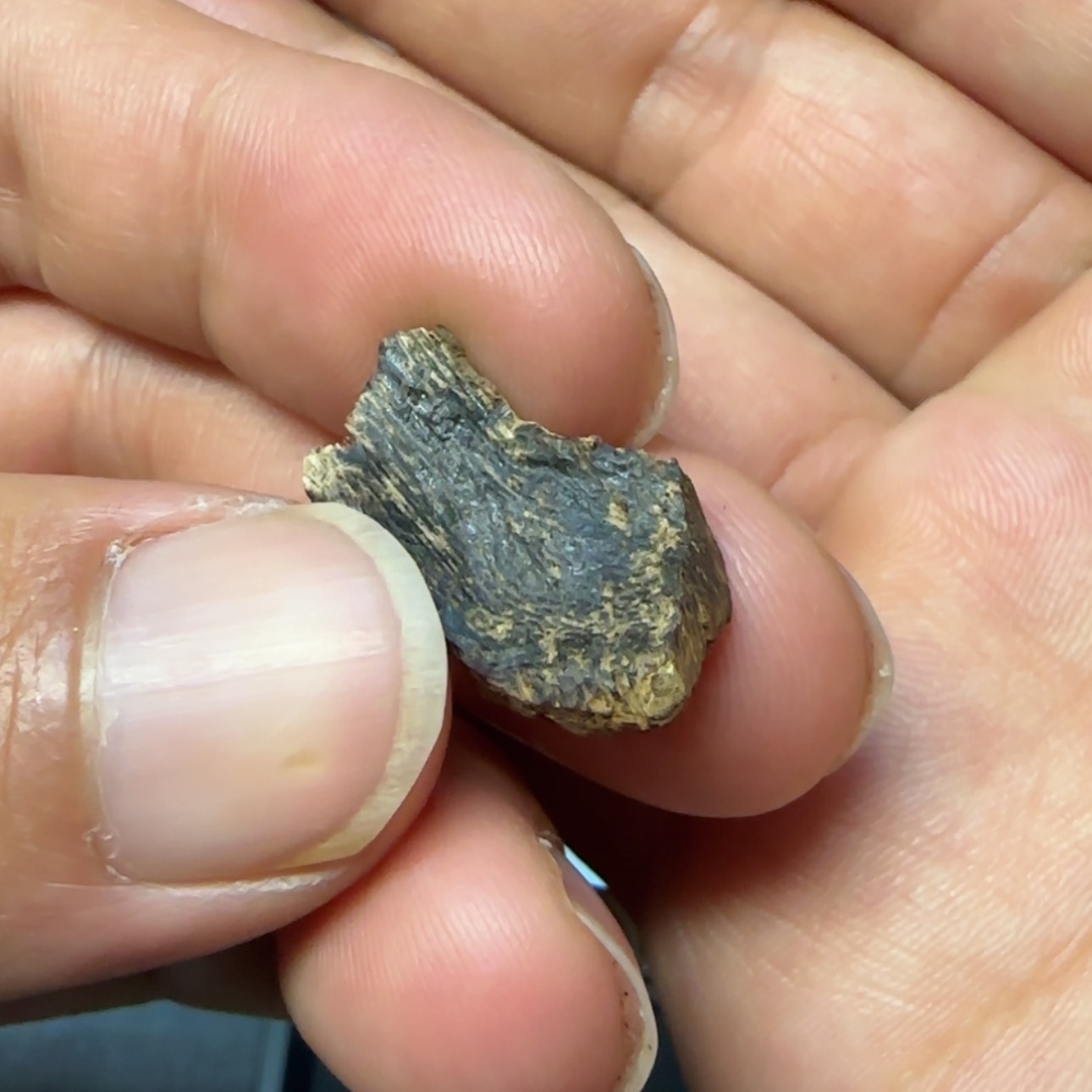 【闪购商品】沉香沉香香囊用****9国香系港香沉水包头一块