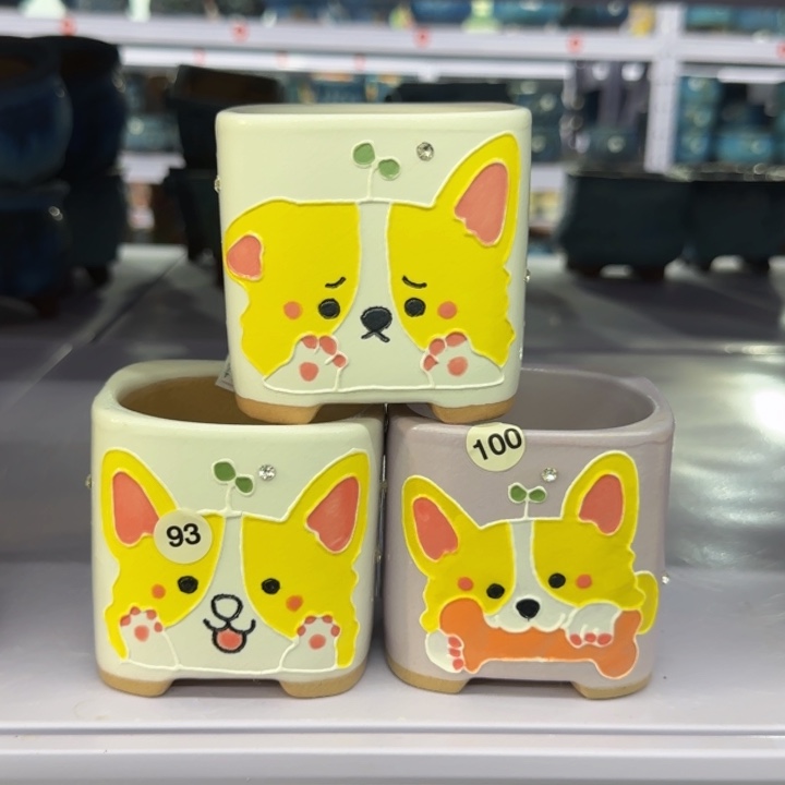 田小姐多肉花盆的