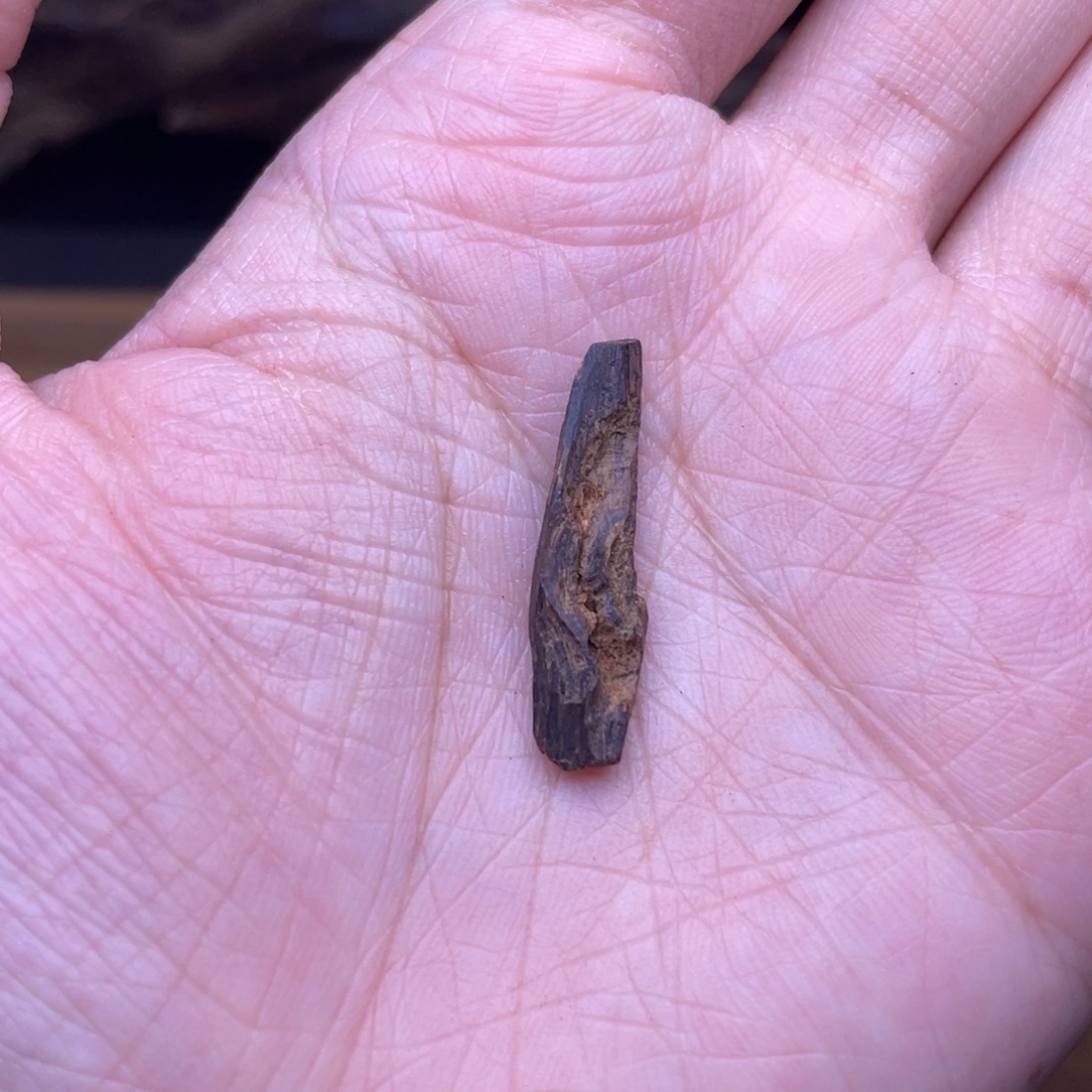 香榧木海南沉水树心油0.4克