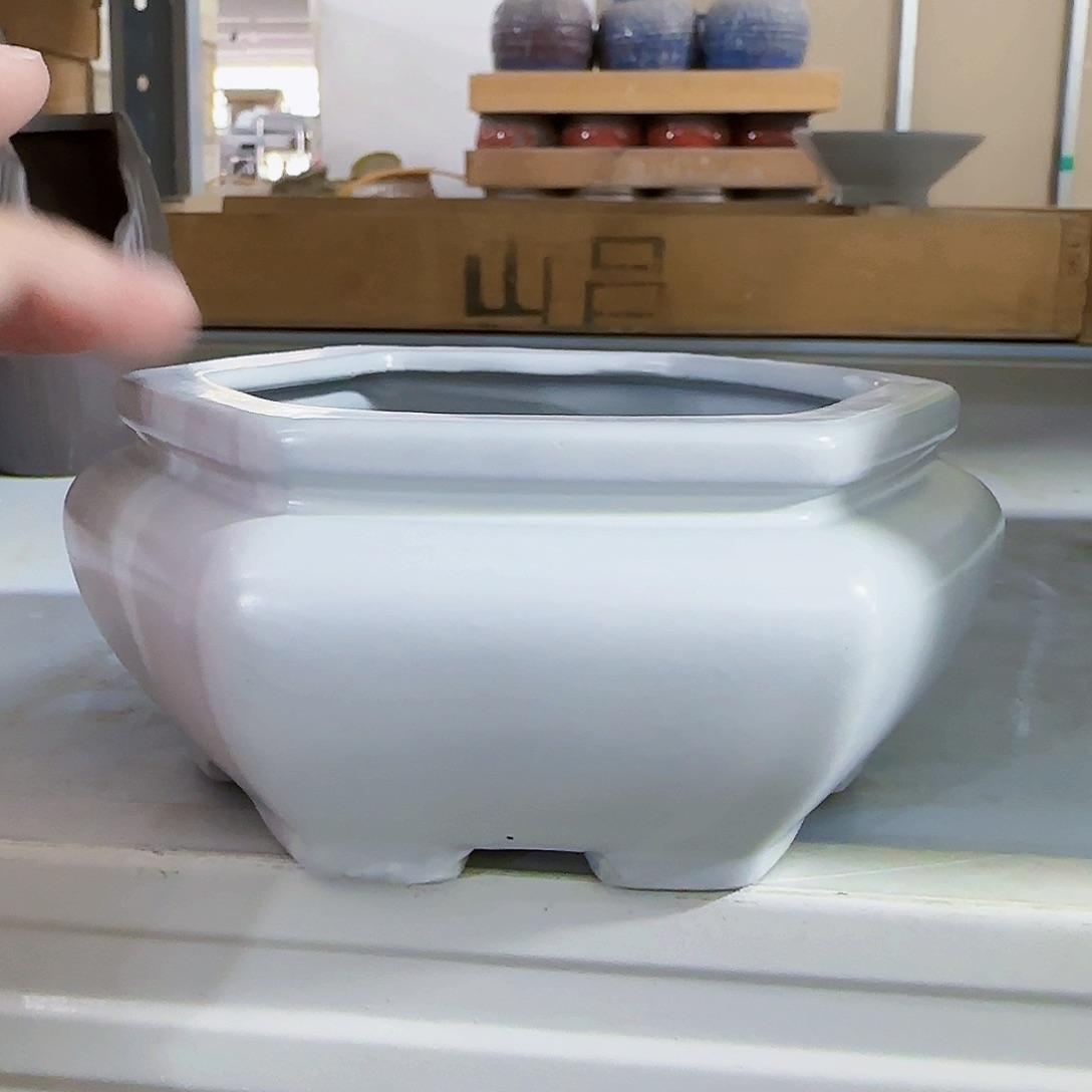 陶瓷花盆特价上新