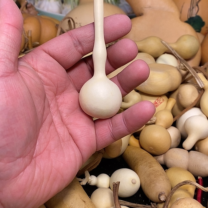 A****R精品葫芦手把葫芦79