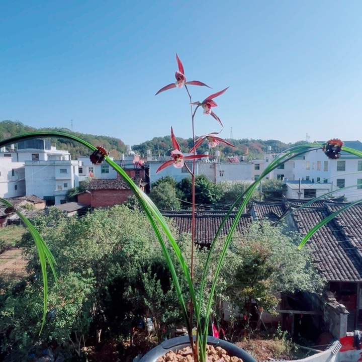 濠***滨完全开放一物一拍