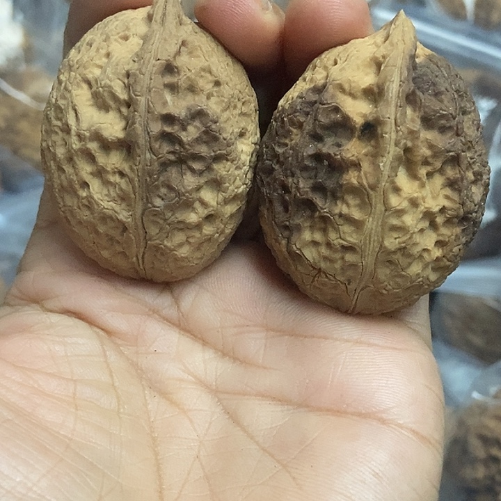 文玩核桃把件云南铁核桃基地26