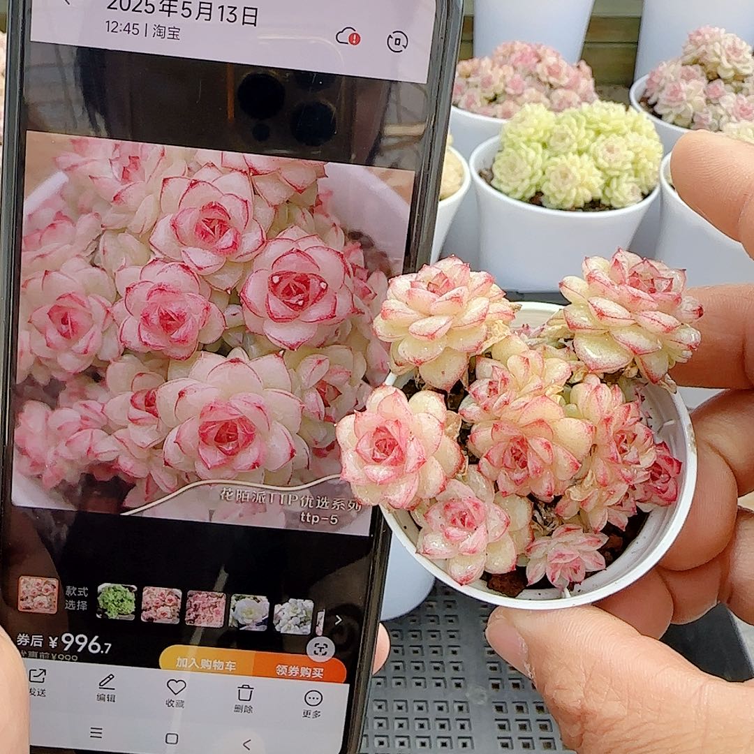 0103-14（ttp-5）优选