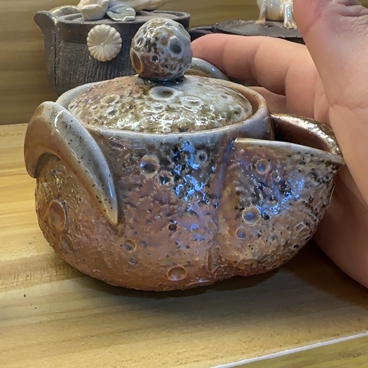 粗砂茶壶过***蒙柴烧福利新品多多