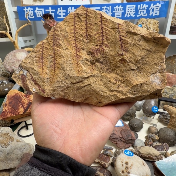 玉家居摆件家居标本