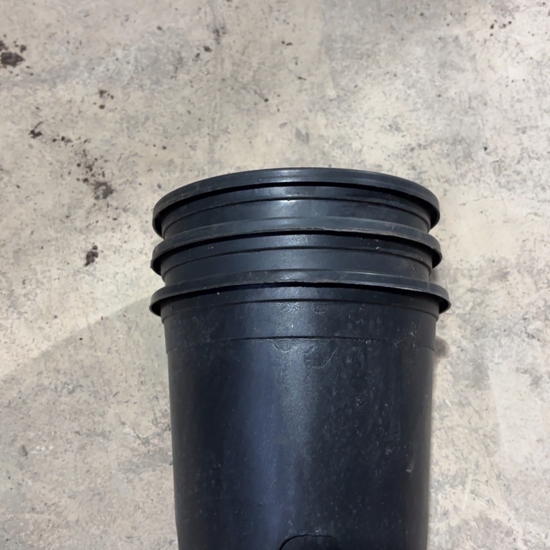 黑加仑16✖️17发15个