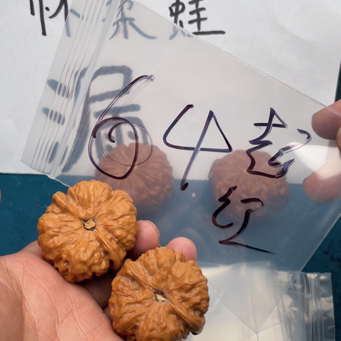 核桃手串/手链W49747969694469