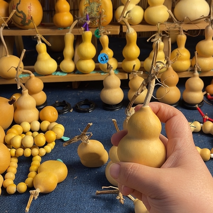 蒋***蒋1111111111111111111