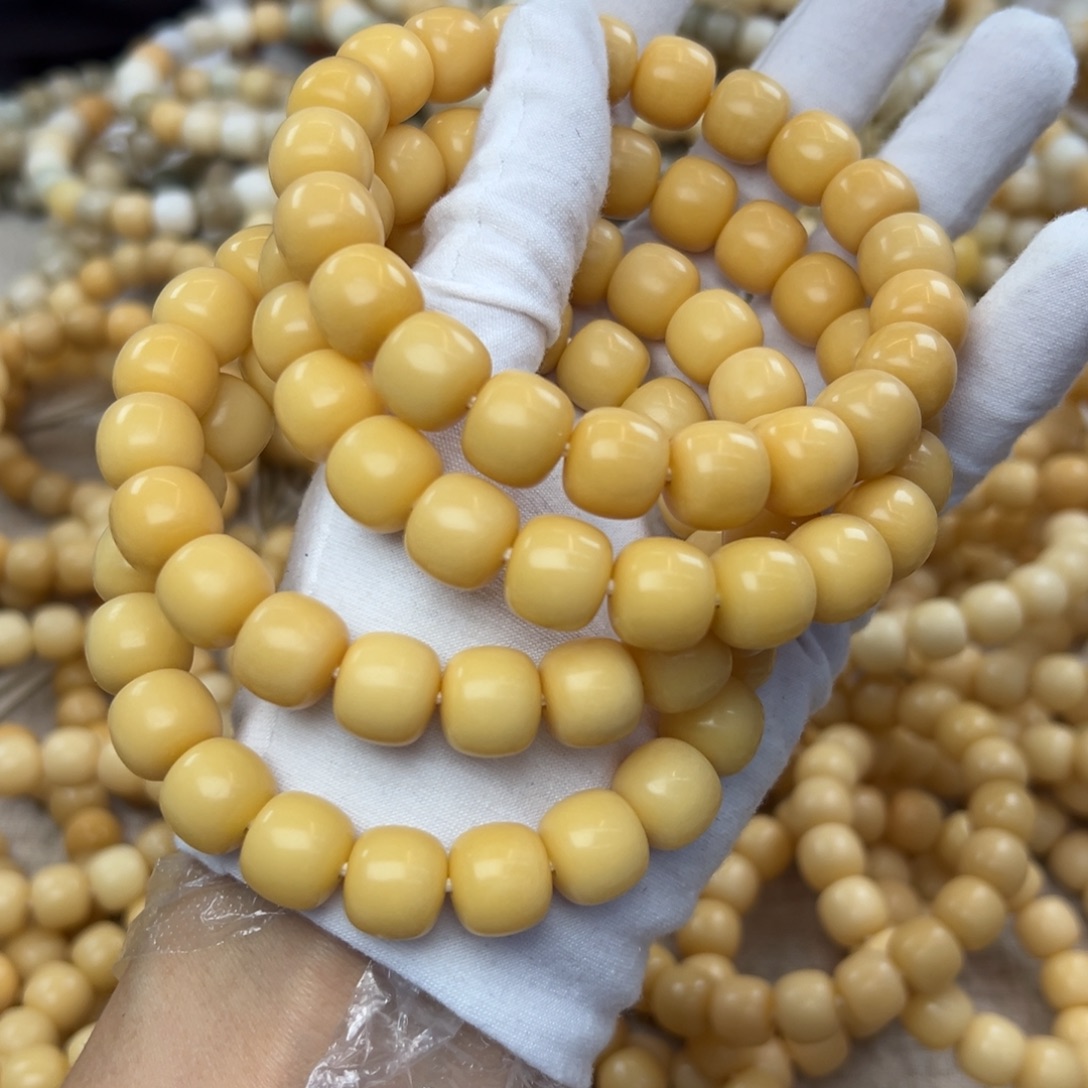 吊坠菩提根/象牙果13树王发一条289