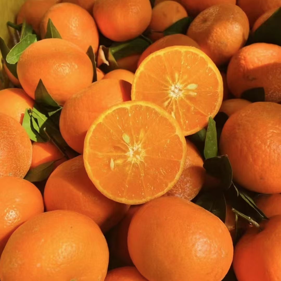 广西沃柑  毛重6斤  【顺丰包邮】