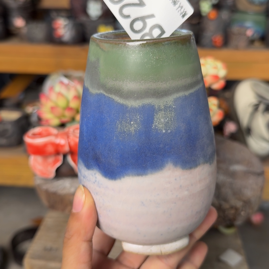 重庆小燕子欢迎大家929