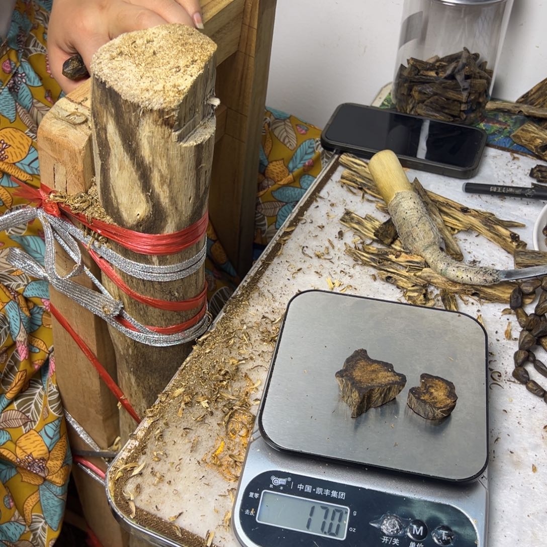 线香奇楠虫漏香17克