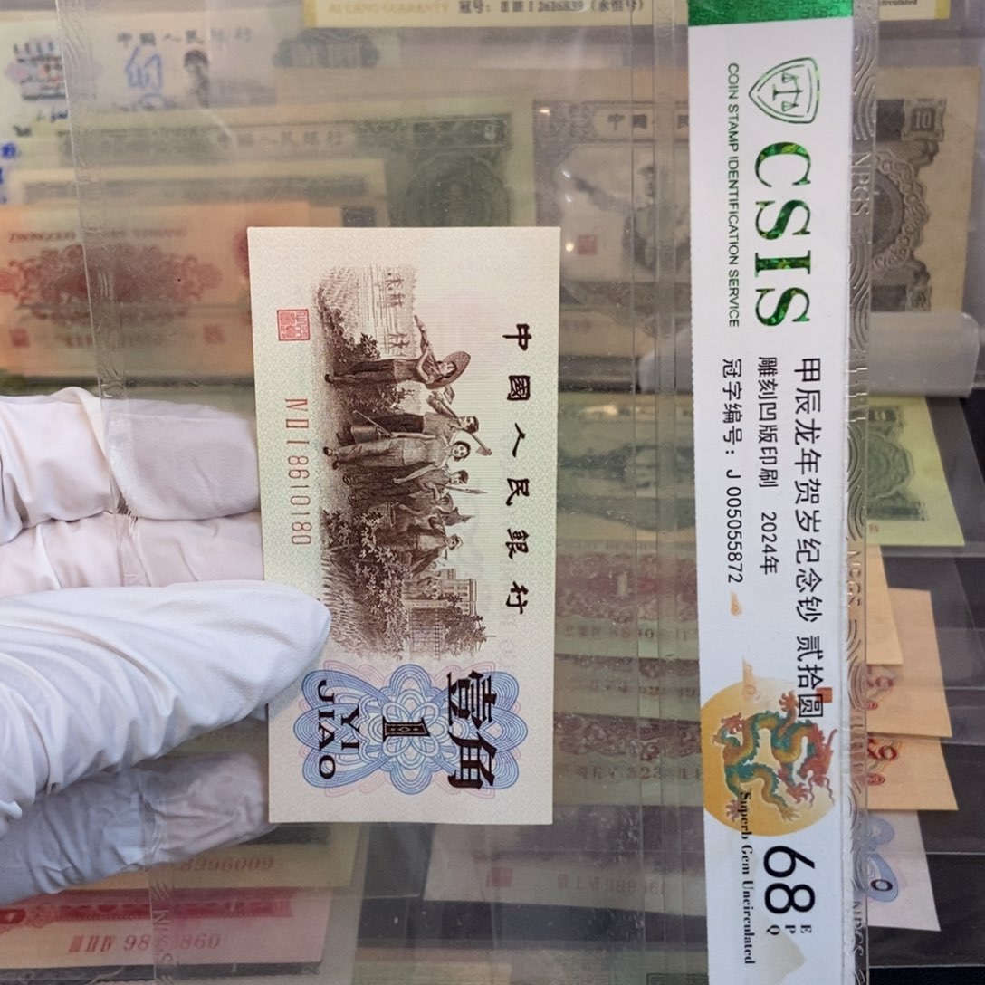 背绿180mmmmnnnnnmmmmmm