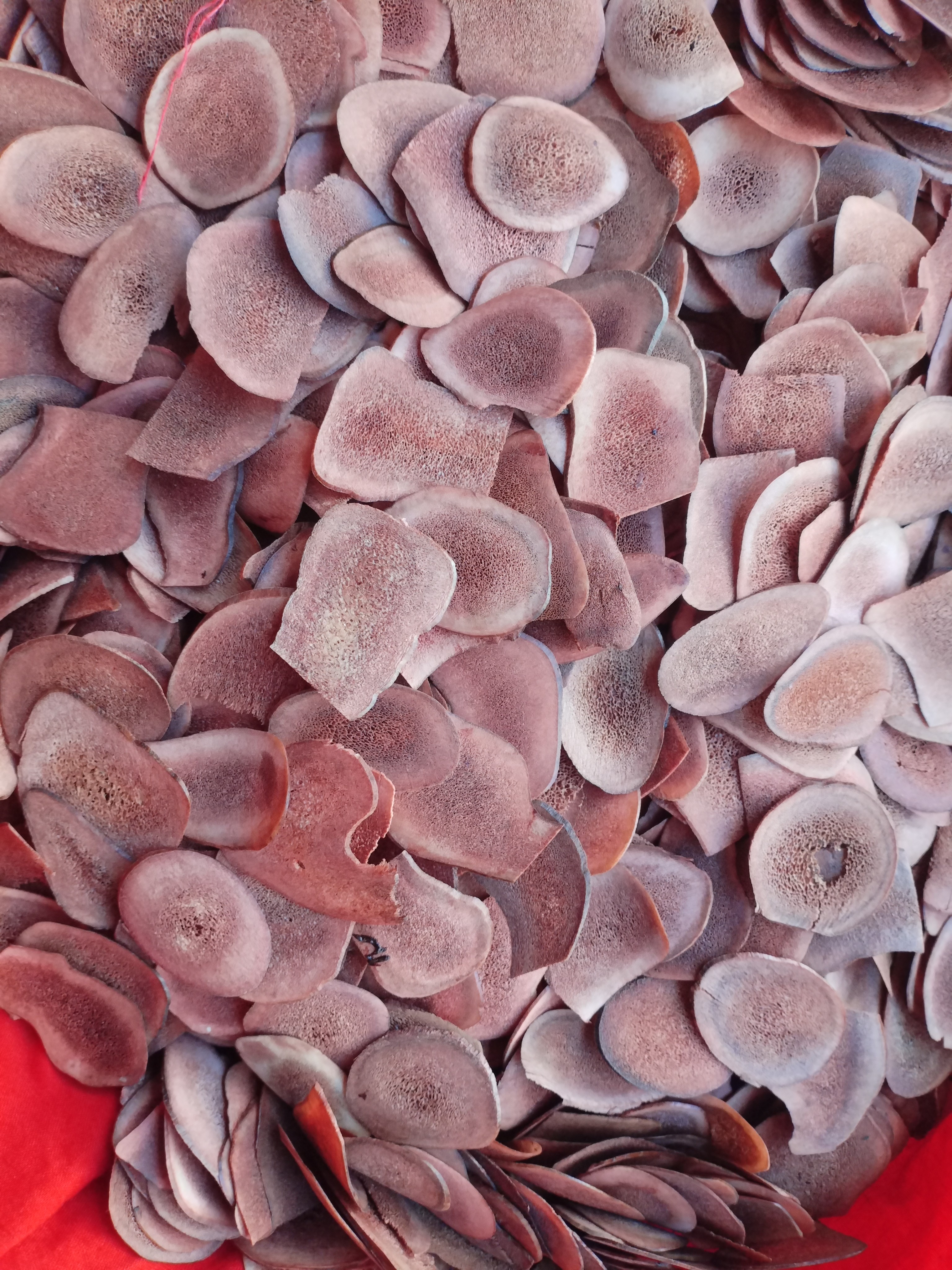 云南土特产～[～片]非香菇