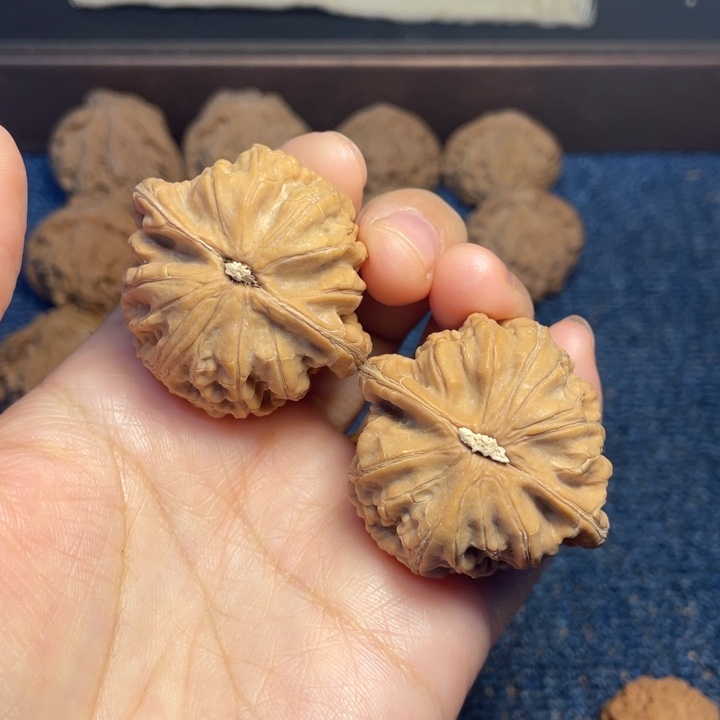 大叶紫檀（黑酸枝木类）玄武