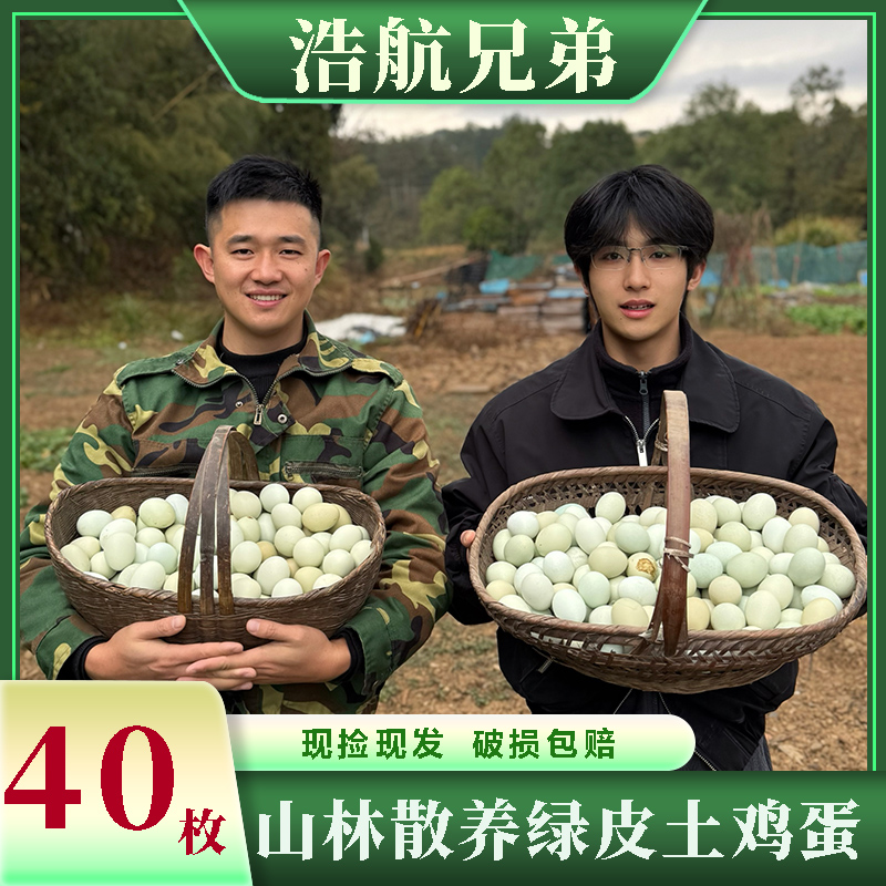 40枚绿壳土鸡蛋正宗山林散养土鸡蛋新鲜乌鸡蛋营养健康